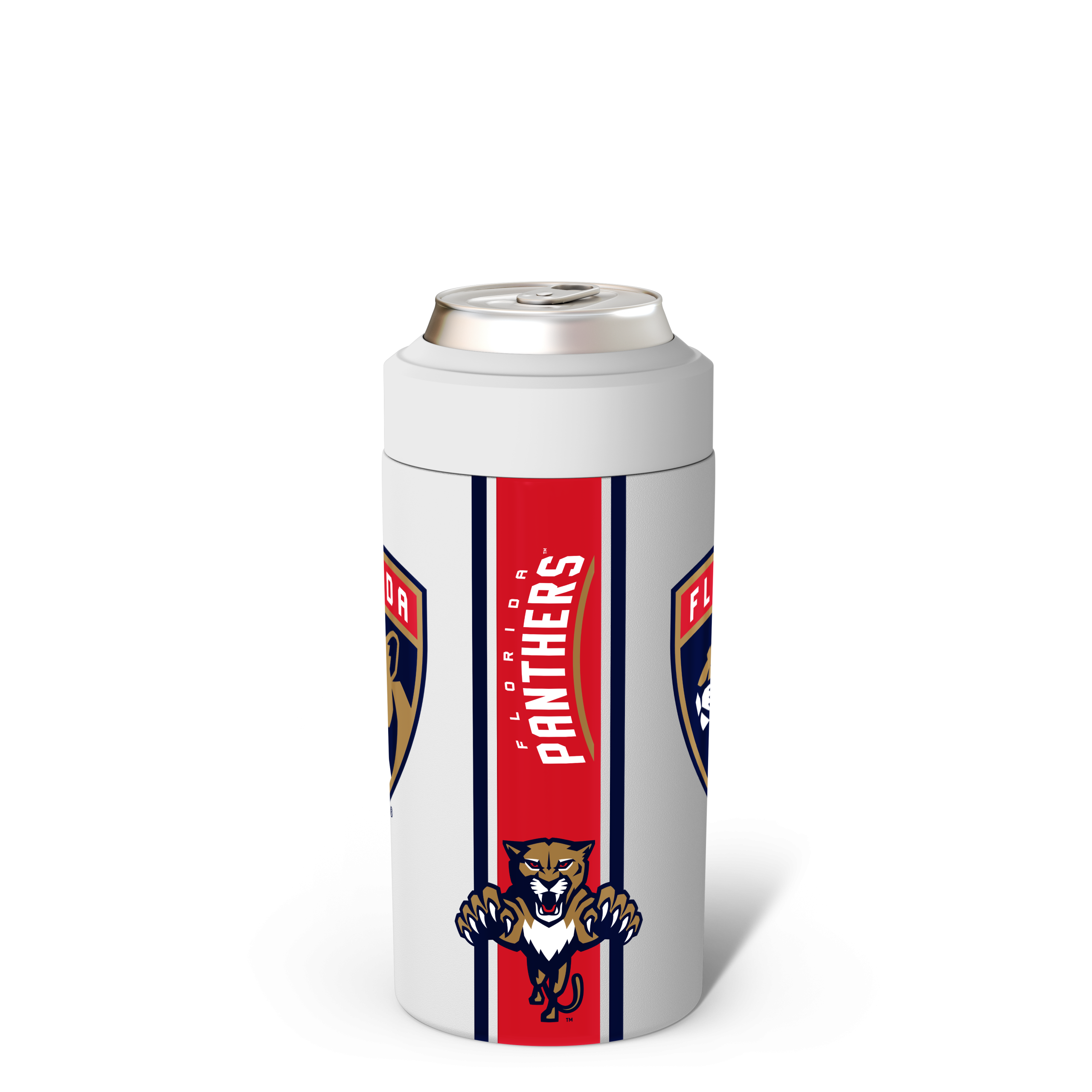 Florida_Panthers_01_5468b05b-8365-432c-9fcc-2831a8331baf.png