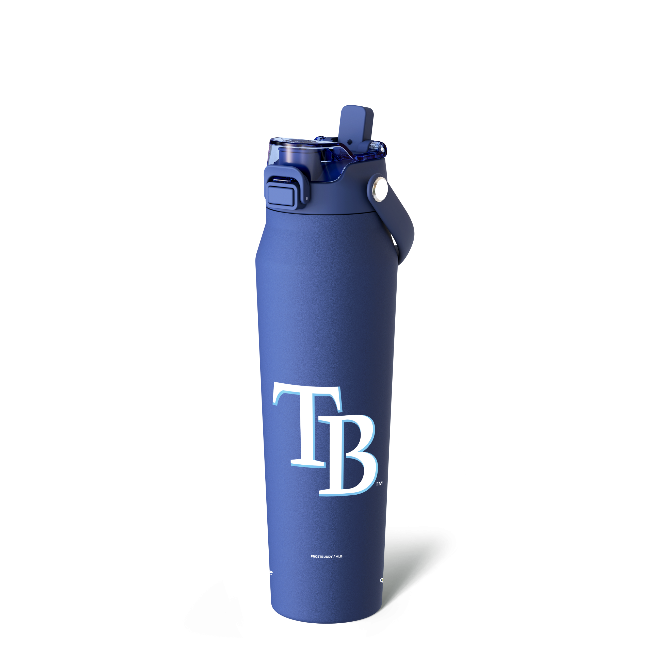 Tampa_Bay_Ray_Back.png