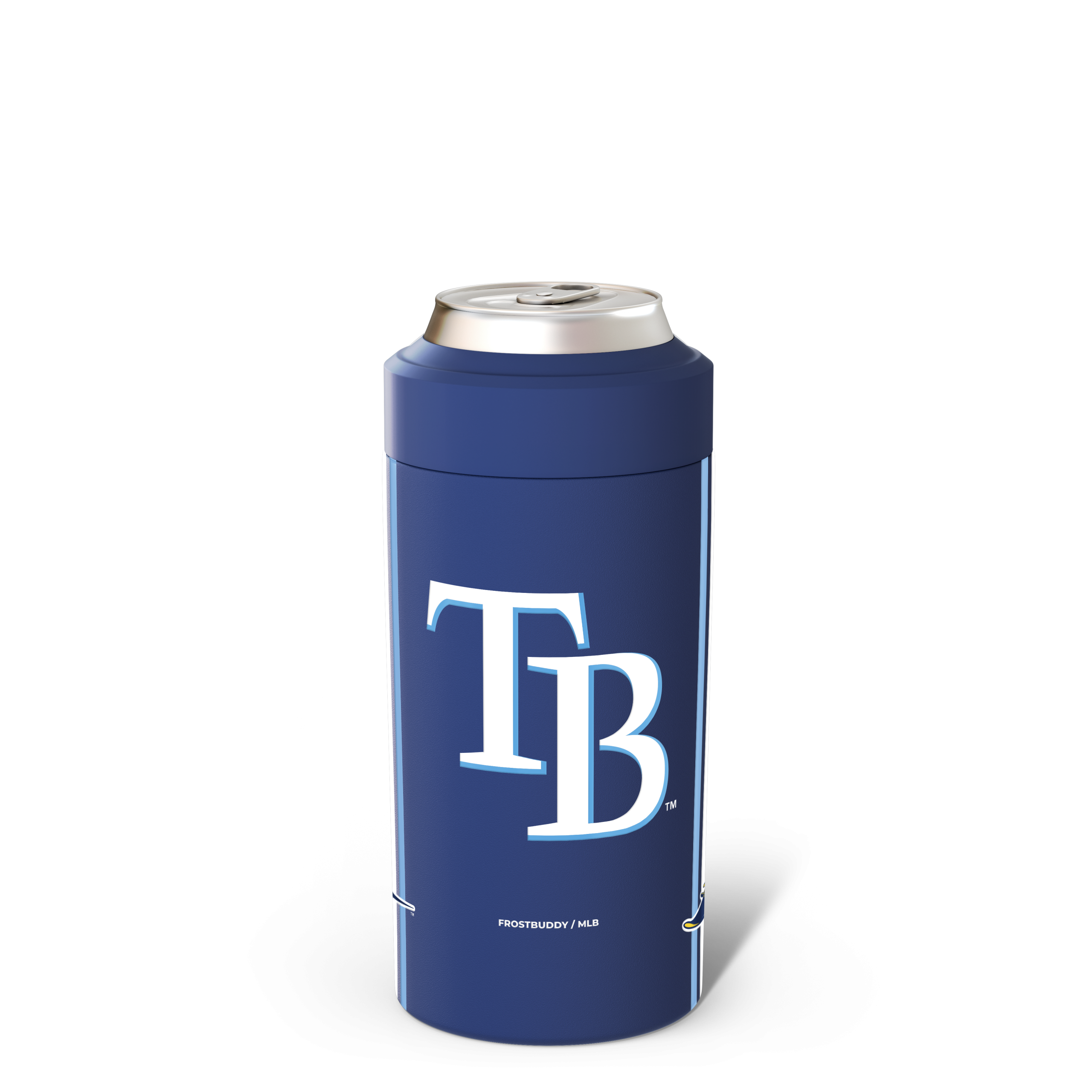 Tampa_Bay_Rays_Back.png