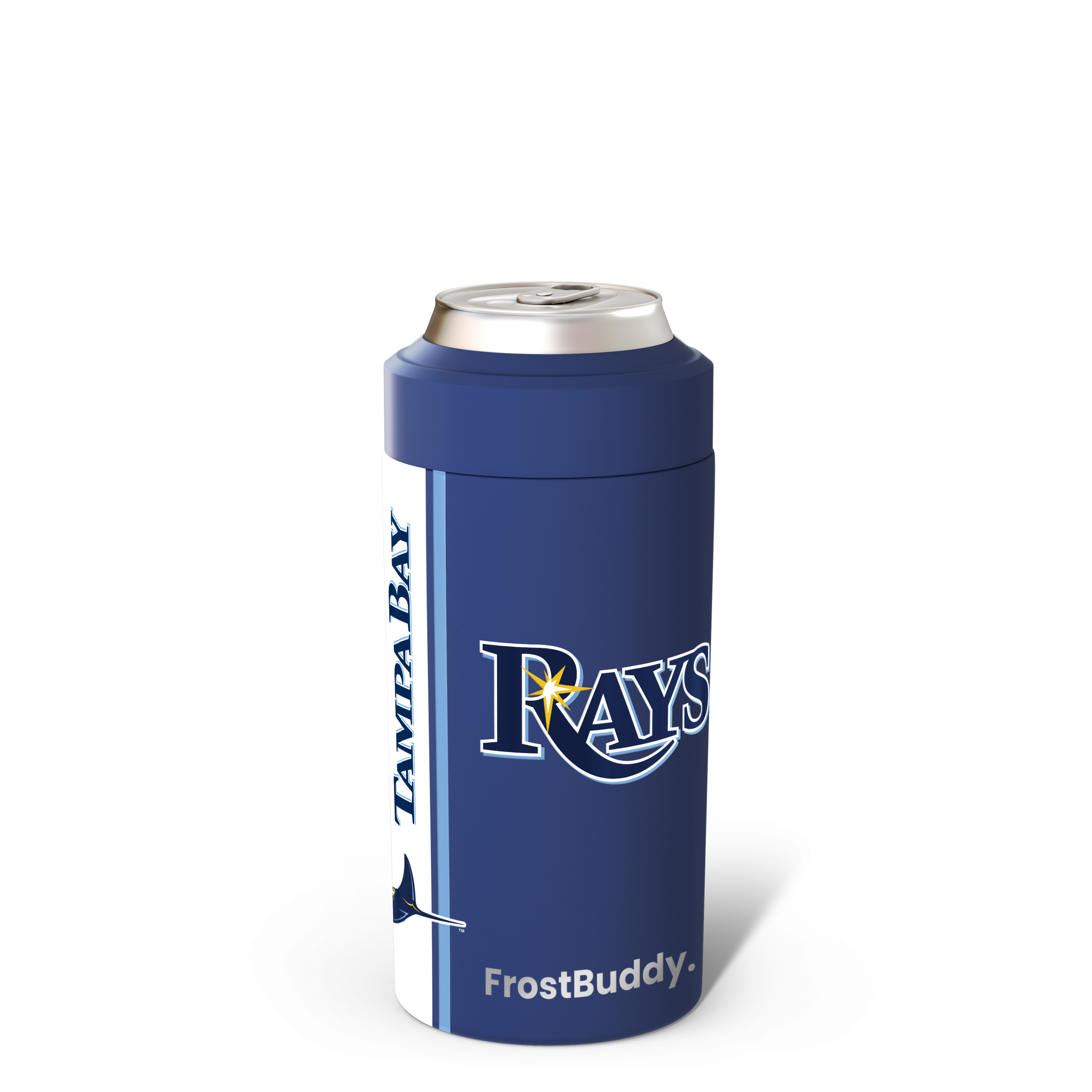 Tampa_Bay_Rays_Front.png
