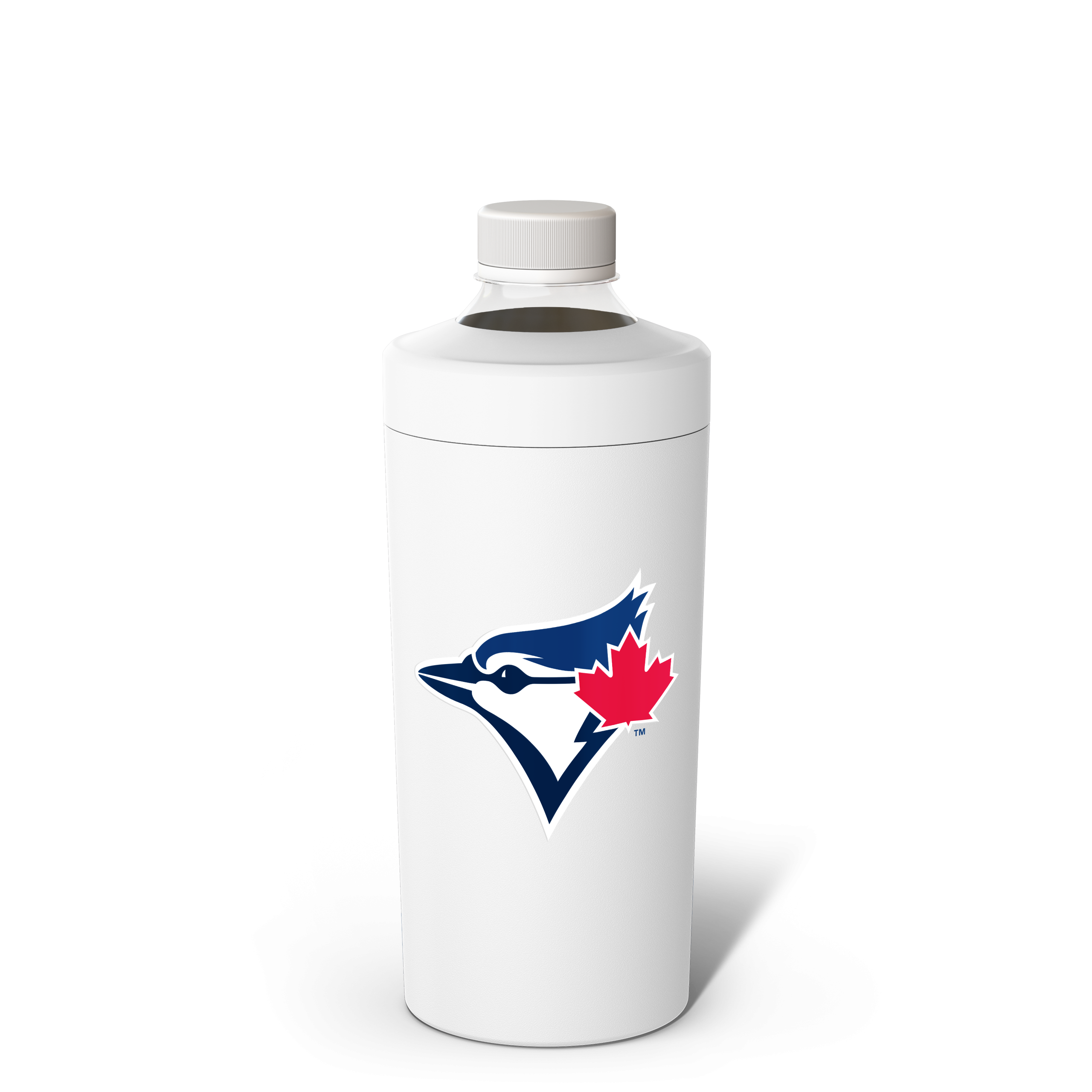 Toronto_Blue_Jay_Back_1fd53d26-02f4-4620-bed3-7e067669a138.png