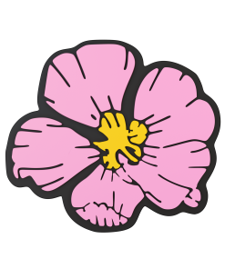 Budz | Hibiscus