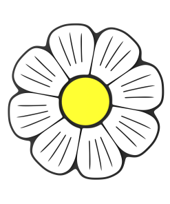 Budz | Daisy