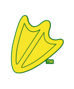 Budz | Oregon Ducks