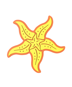 Budz | Starfish
