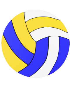 Budz | Volleyball