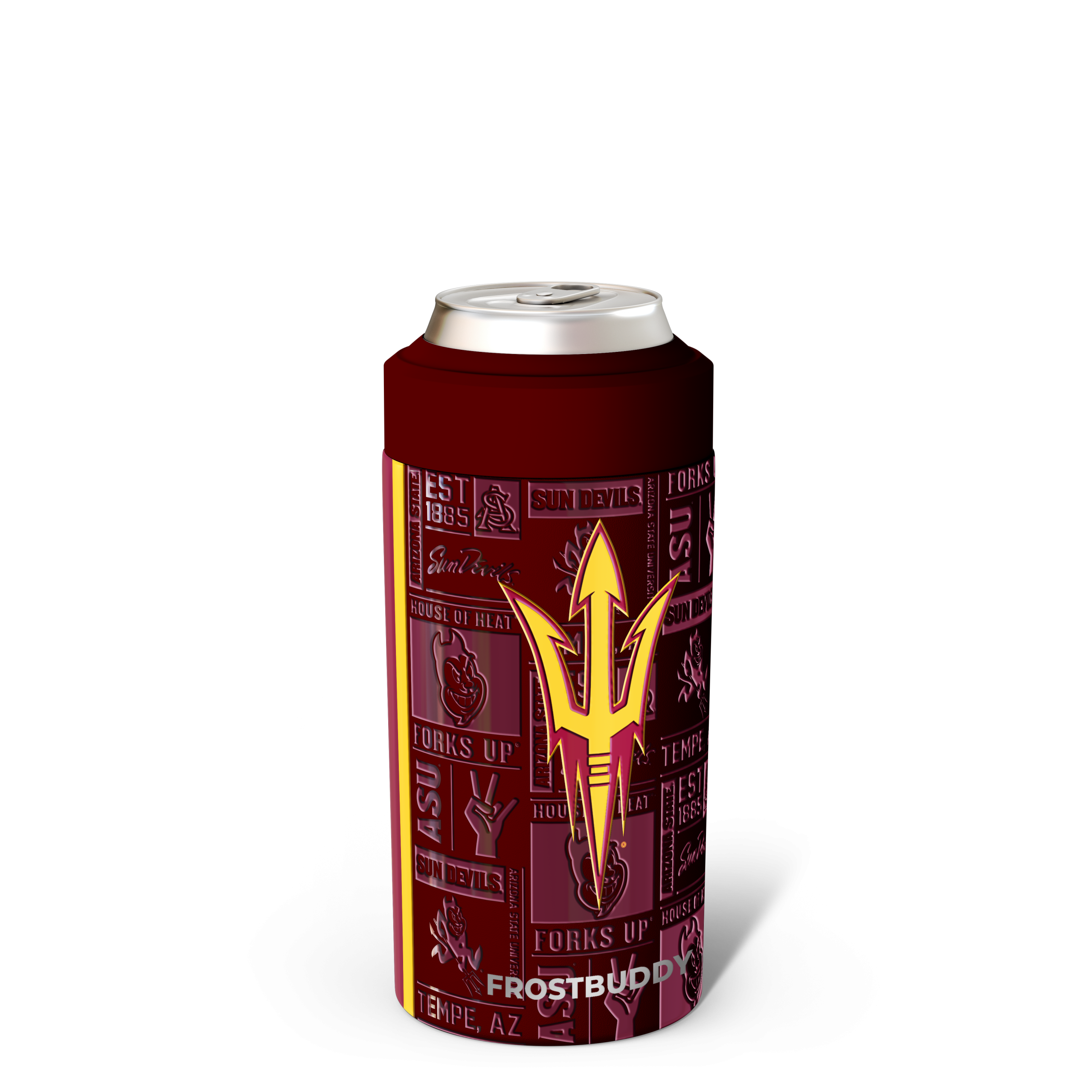 uni-arizonastate3d.png